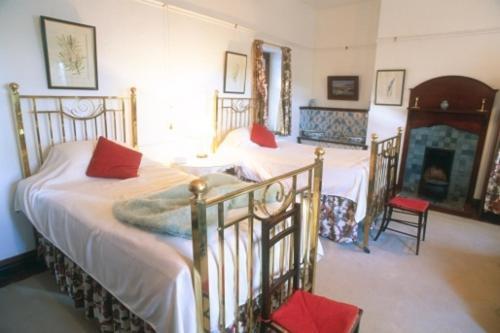 فرانستشوك Lekkerwijn Historic Country House الغرفة الصورة